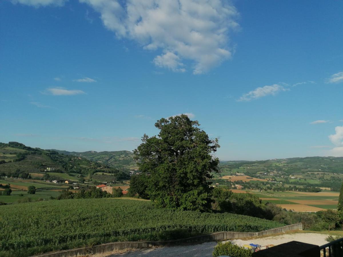 Villa Iliria Ripa ภายนอก รูปภาพ
